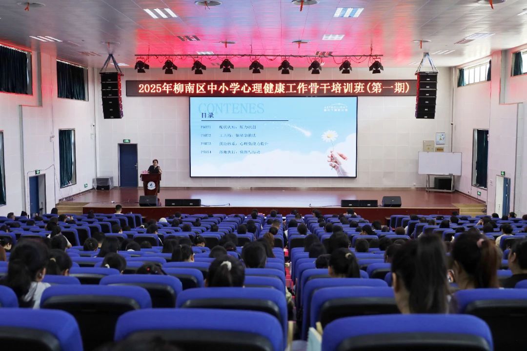 柳南區(qū)教育系統(tǒng)開展心理健康工作骨干專題培訓(xùn)